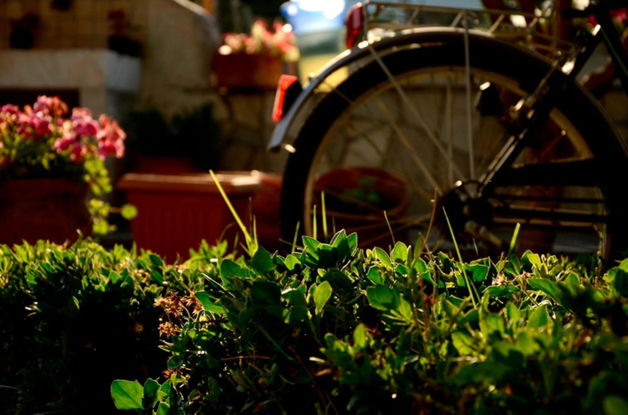 Garden House Appartement Velika  Buitenkant foto